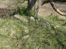 Nehmten Grabhügelgruppe