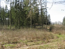Nehmten Grabhügelgruppe