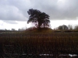 Bokel Grabhuegel - PID:54801