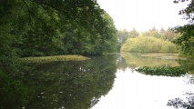 Thorsberger Moor (Suederbrarup) submitted by holger_rix