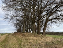 Stubbe Langbett 1 - PID:236828