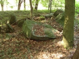 Altenhof Langbett 1 - PID:77767