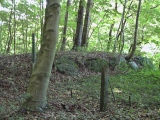 Altenhof Langbett 1 - PID:77742