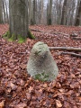 Seedorf Rillenstein - PID:283747