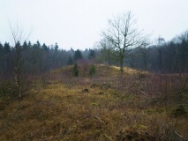 Dithmarsische Berge