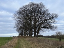 Stubbe Langbett 1 - PID:236827