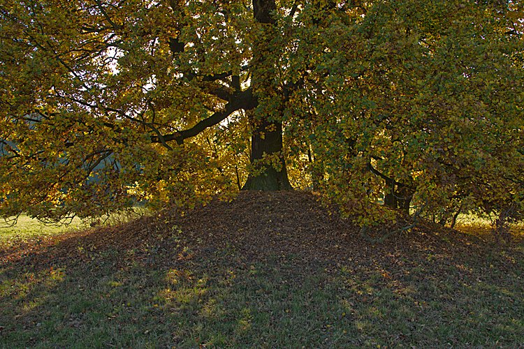Harth-Haus Grabhügel (PID:96707) Harth-Haus Grabhügel