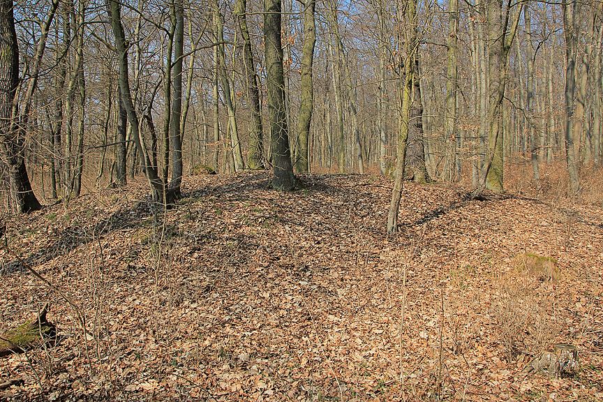 Click for the gallery page to add comments and vote (PID:179459) Sieben Hügel