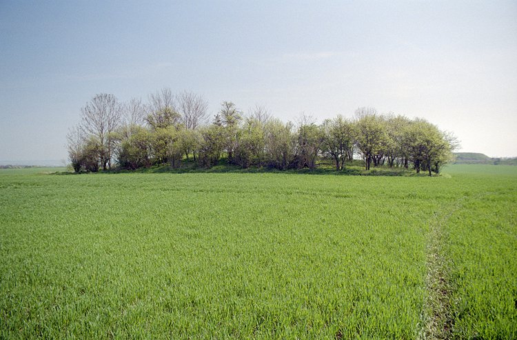 Click for the gallery page to add comments and vote (PID:38477) Katzenhügel
