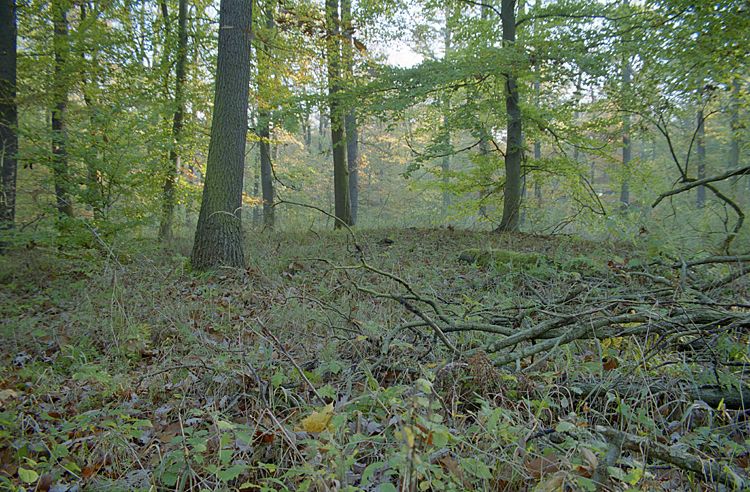 Click for the gallery page to add comments and vote (PID:26839) Grabhügel Teufelssumpf