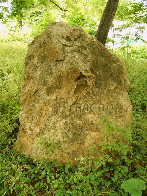 Menhir in Jena