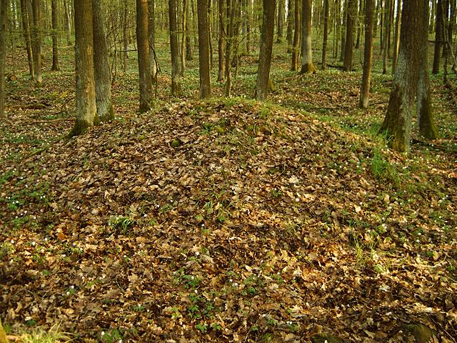 Gräberfeld Merzelbachwald (2)