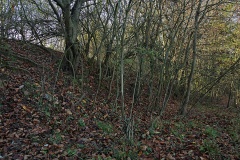 Bonifatiusberg