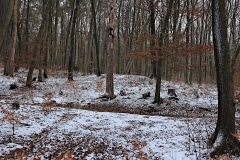 Hardisleben (2)