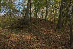 Streitholz (2)