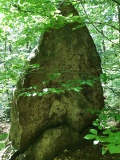 Menhir von Waldeck