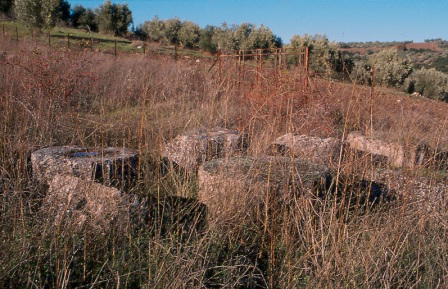 Hyampolis Sanctuary of Artemis and Apollo