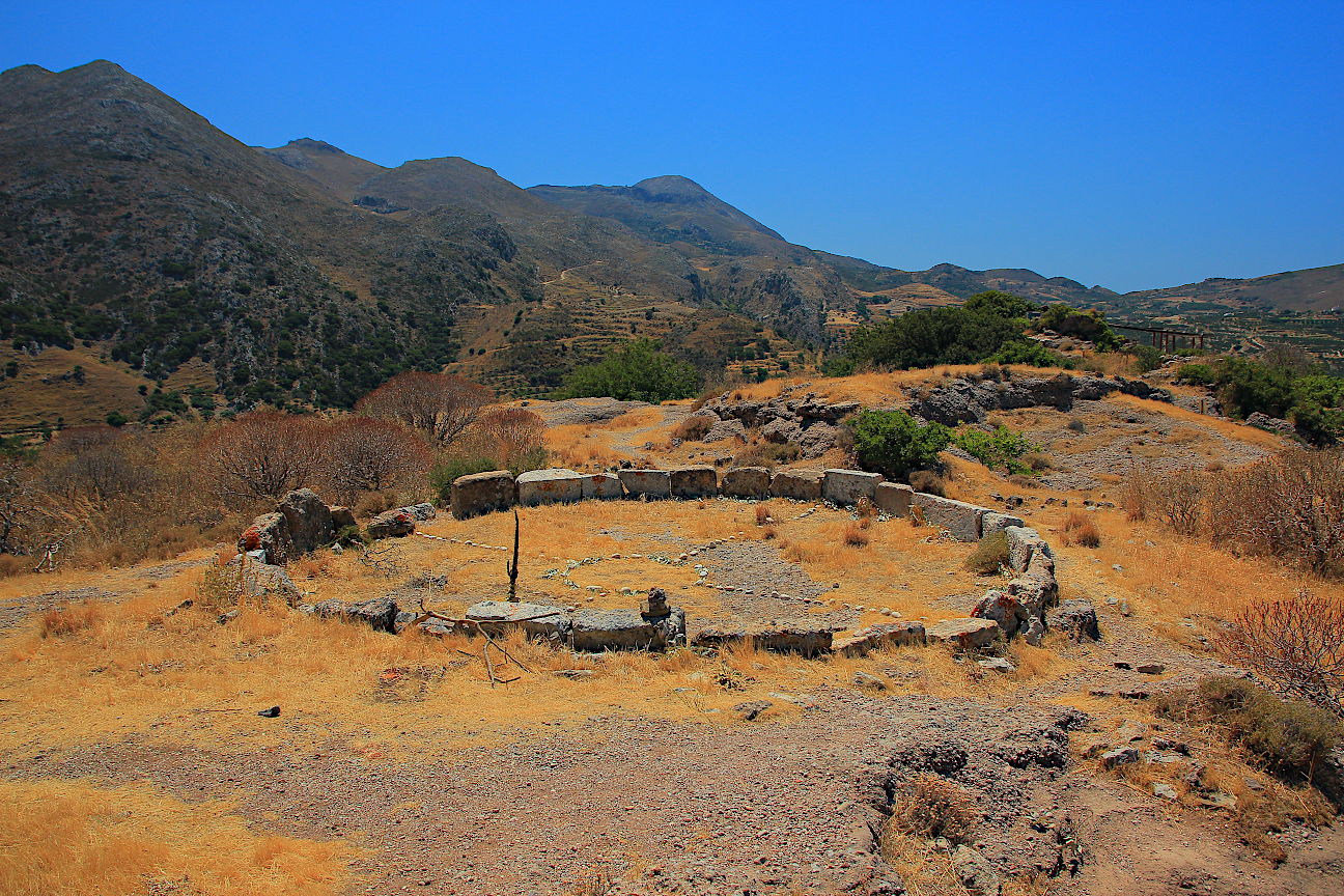 Polyrrhenia
