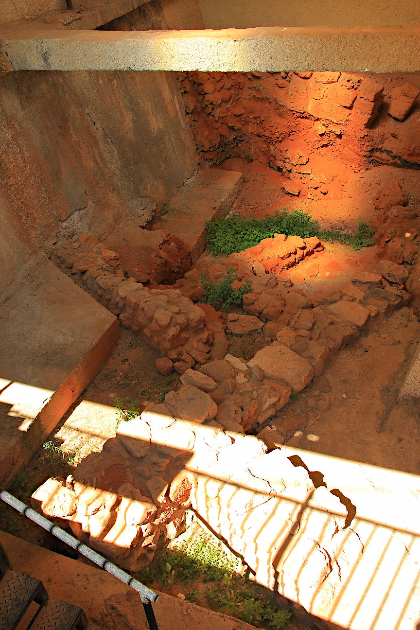 Kydonia (Vakalounaki)