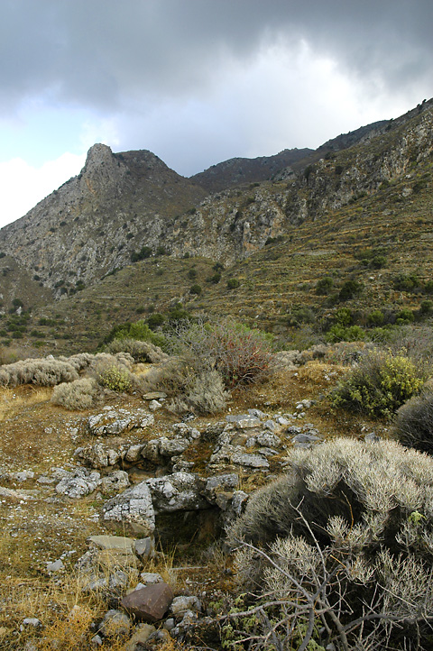 Click for the gallery page to add comments and vote (PID:44296) Vronda