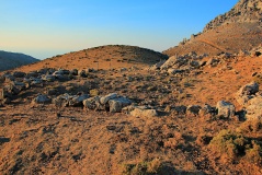 Kofinas (Temple)