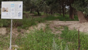 Tholos tomb of Phylaki - PID:305337