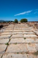 Click for full size image of Malia (PID:108981) Malia