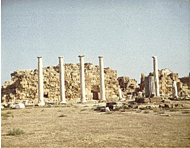 Salamis