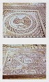 Click for full size image of Kurion (PID:51295) Kurion