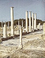 Click for full size image of Salamis (PID:68664) Salamis