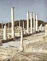 Salamis