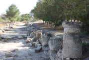 Salamis - PID:120674