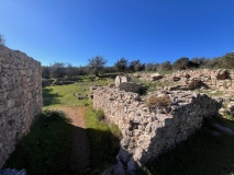 Aphrodite´s and Adonis´ Oak and Well
