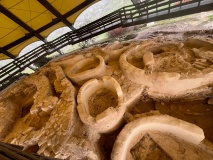 Tenta at Kalavasos