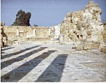 Click for full size image of Salamis (PID:68653) Salamis