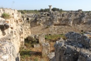 Salamis - PID:120675
