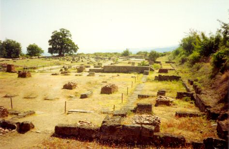 Vergina