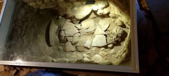 Tumulus of the Plataeans - PID:227543
