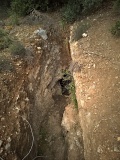 Barbouna