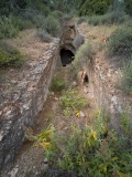 Barbouna