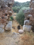 Troezen - PID:226493 Troezen - PID:226493