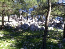 Profitis Ilias Park - PID:238128 Profitis Ilias Park - PID:238128