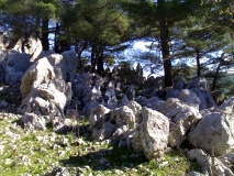 Profitis Ilias Park - PID:238129 Profitis Ilias Park - PID:238129