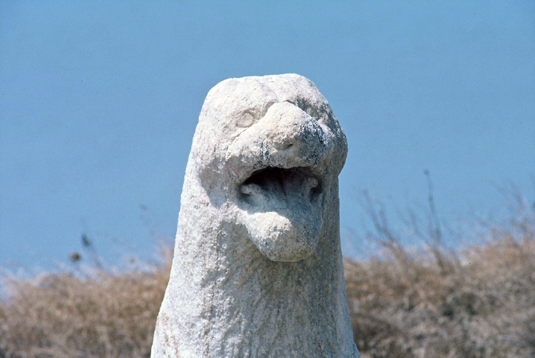 Close up of one of the many lions on Delos.