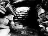 Dragonhouses - PID:24154