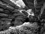 Dragonhouses - PID:24153