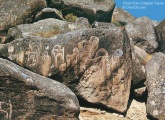 Gobustan Rock Art - PID:82448