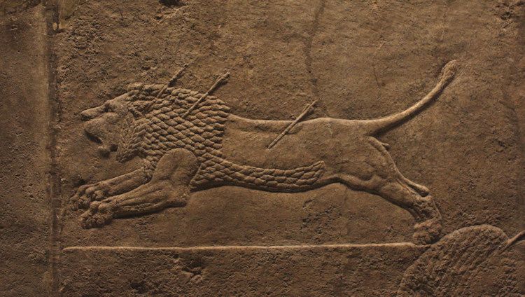 Part of the Lion Hunt relief from the north palace at Nineveh, late 7th century BCE. In the British Museum.