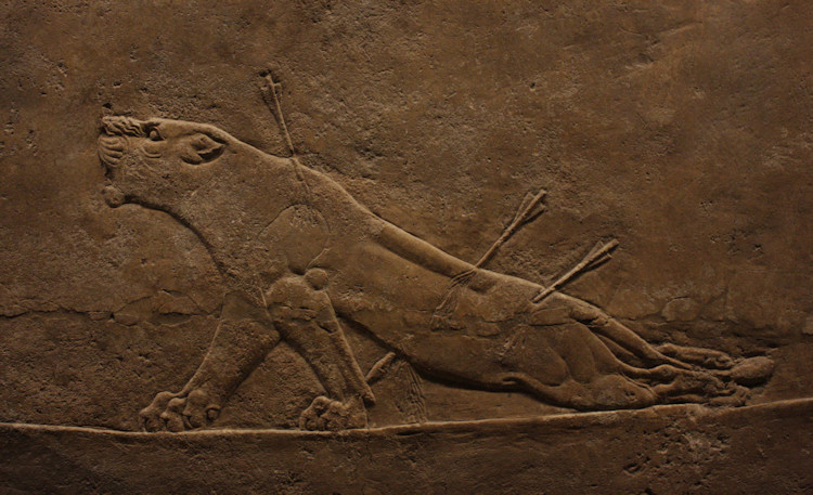 Part of the Lion Hunt relief from the north palace at Nineveh, late 7th century BCE.  In the British Museum.