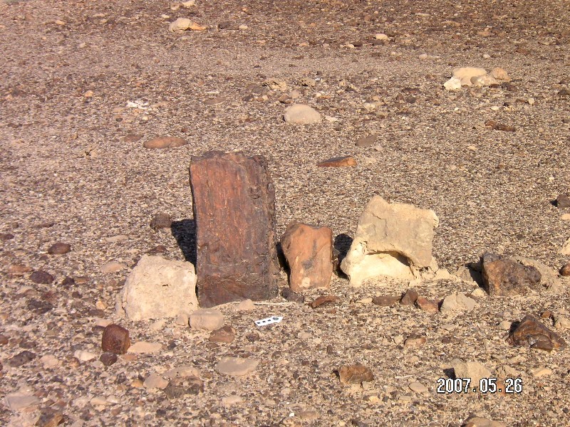 Wadi Paran ancient agriculture terraces, matseboth and Rock art